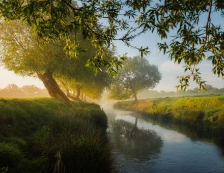 Der Fluss des Lebens