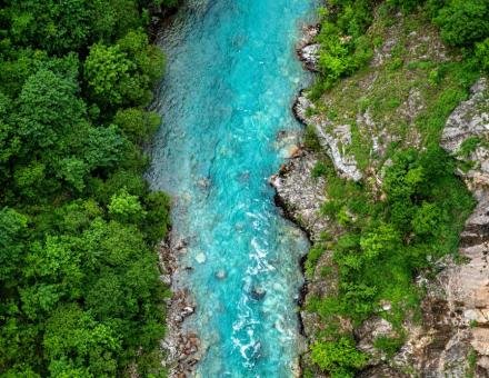 Der Fluss des Lebens