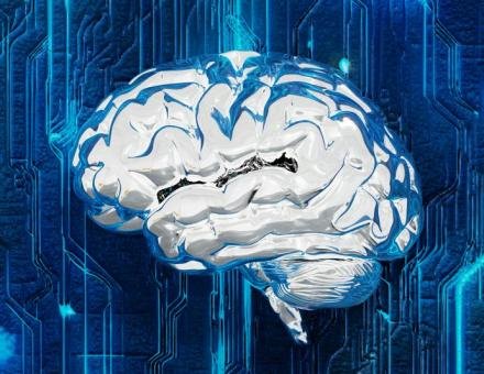 Inspira Wissen: Neuroplastizität
